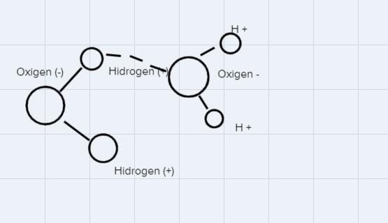 Why is water a lubricant— how does this relate to cohesion?-example-1