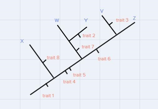 Can anyone please help me fill in my cladogram diagram-example-1