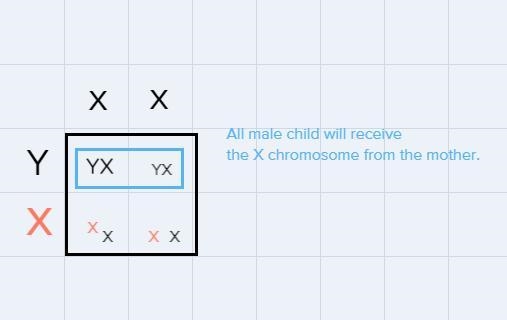 A color-blind father and a mother who does not carry the allele for color blindness-example-1