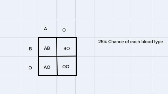 1. What are the possible genotypes of the offspring made from a parent with homozygous-example-3