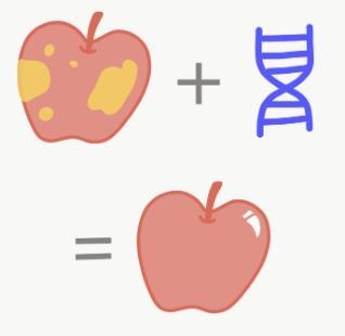 4. A(n) ______________ is an organism that contains a gene from anotherorganism.A-example-1