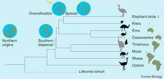 I need help to draw a phylogen tree .Thank you-example-1