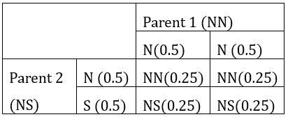 A person without the allele for sickle cell anemia has children with a person who-example-3