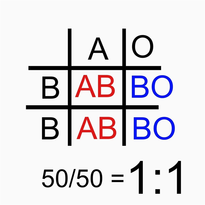 The typing of human blood is determined by three alleles: A, B, and O. Alleles A and-example-1