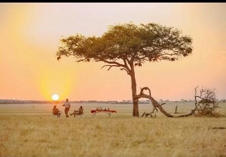 The _________ is the largest, best-known savanna. Serengeti plain savanna short grass-example-1