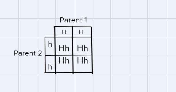 A parent that has two alleles for Huntington's disease mates with a normal person-example-1