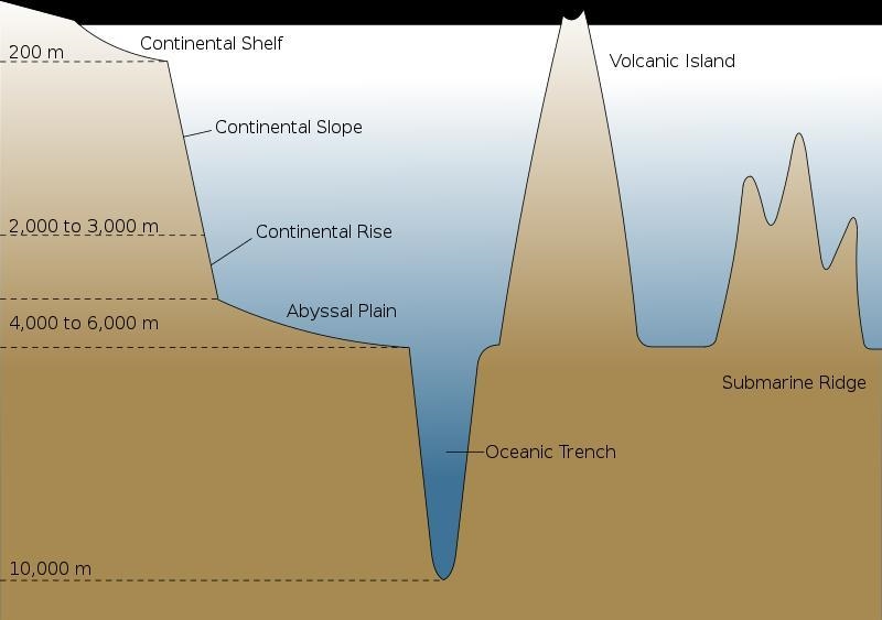 Which feature of the ocean floor includes its deepest parts?-example-1