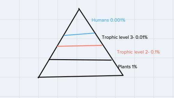 If you are on the fourth trophic evel, what percentage of energy are you setting from-example-1