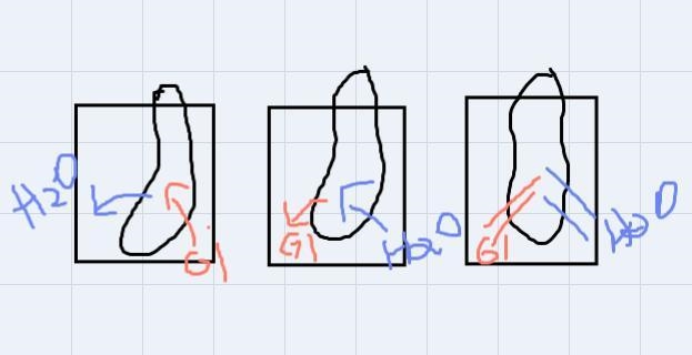 1. Draw arrows indicating the net movement of each material-example-1