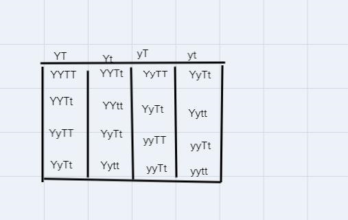 What is the probability for yellow offspring?What is the probability for a short offspring-example-1