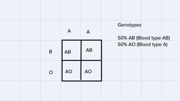 1. What are the possible genotypes of the offspring made from a parent with homozygous-example-1