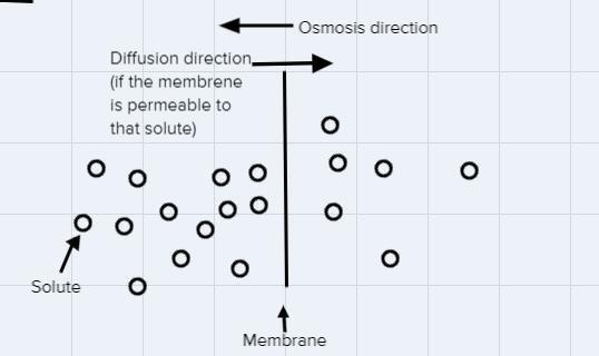 Identify the type of cellular movements process being described. (Osmosis,active transport-example-1