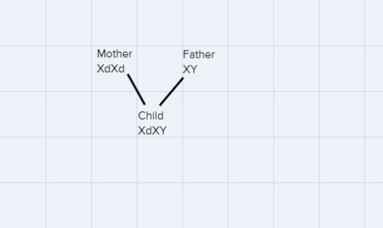 In a family the mother has color blindness and the father has normal vision. Their-example-1