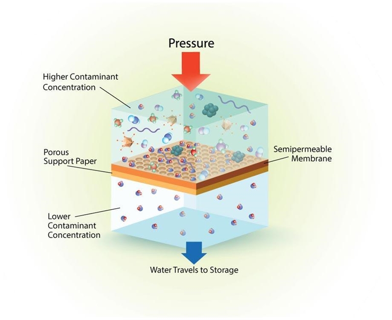 50 POINTS EASY QUESTION draw a diagram of water crossing a membrane by osmosis-example-1