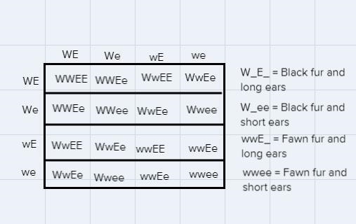 I was wondering if my answer of 18.25 was correct-example-1