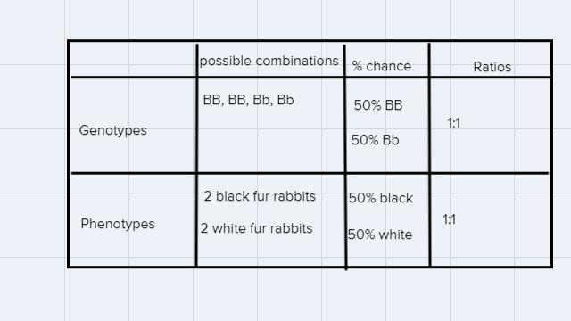 2. In rabbits, black fur is dominant to white fur. If you cross a BB male with a Bb-example-2