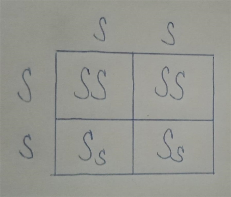 I need help making punnet squares for 1 and 2 and 3rd generation please-example-2