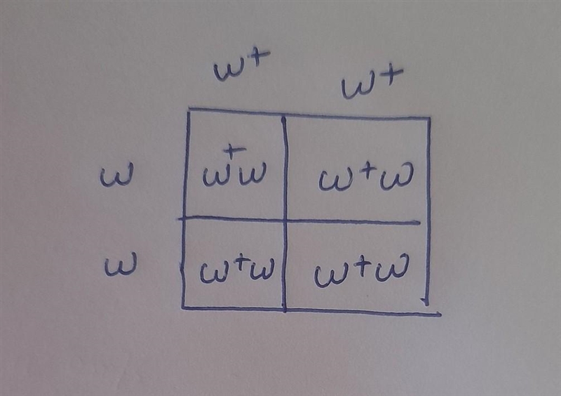 6) In fruit flies, red eyes are dominant (E). White eyes are recessive (e). If the-example-1