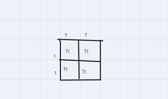 Would you please be able to help me on this question-example-2