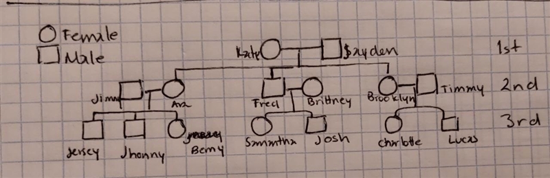 I need help i need to do a pedigree chart and punnet square in for a simple dimple-example-1