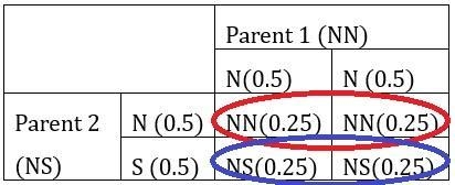 A person without the allele for sickle cell anemia has children with a person who-example-4