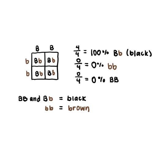 Need help don’t understand-example-1