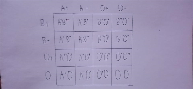 A man (A+) and a women (B+) are expecting a baby together. Make a two-trait (dihybrid-example-1