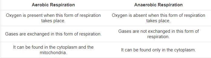 Tabulate three differences between aerobic and anaerobic respiration.-example-1