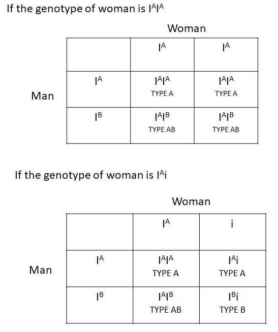 A man with type AB blood marries a woman with type A blood. Is it possible for them-example-1