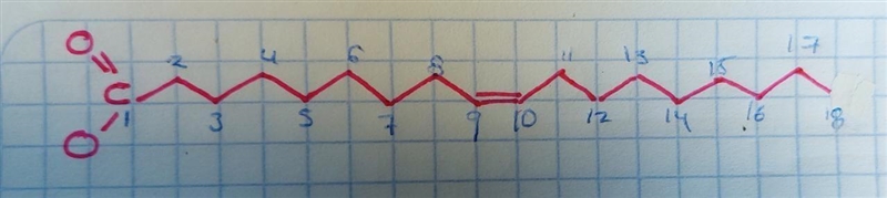 Iipid macromolecules-example-1