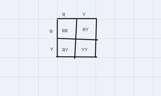 In a species of fish, red scales (RR) and yellow scales (YY) are codominant. When-example-2