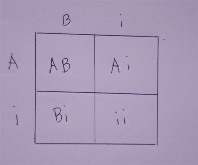 A man with type B blood, and a woman with type A blood…-example-1