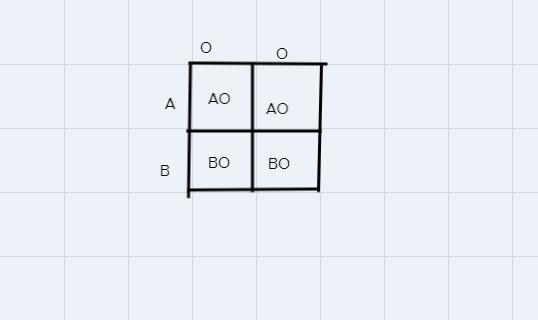 BLOOD TYPE PROBLEMS BELOW:Phenotype GenotypesType A AA or AOType B BB or BOType AB-example-1