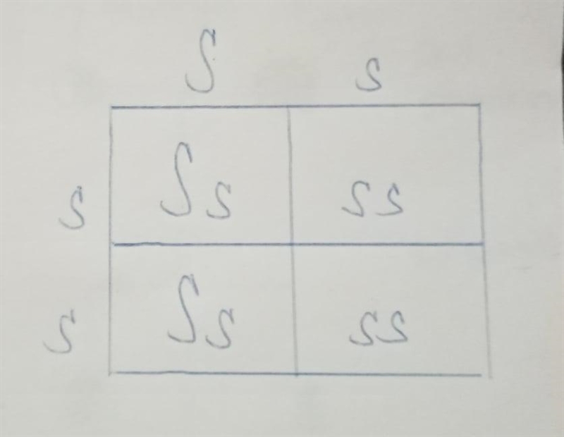 I need help making punnet squares for 1 and 2 and 3rd generation please-example-4