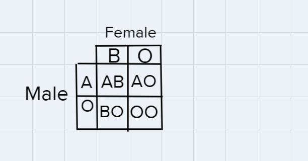 Blood type in humans contains multiple alleles.A male with type A blood and the genotype-example-1