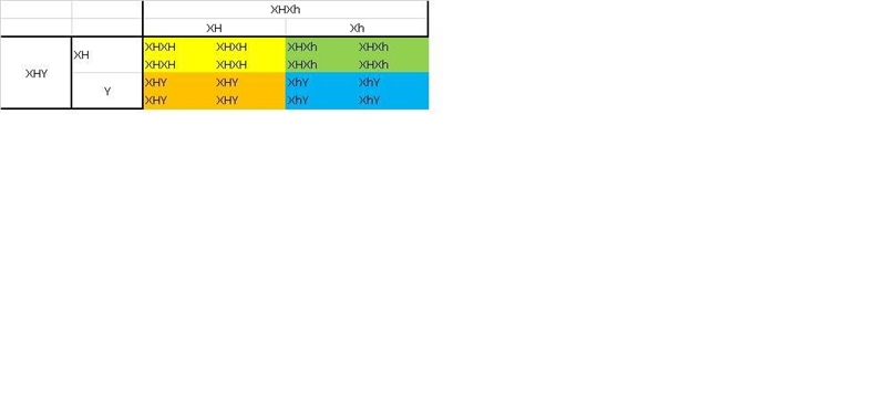 Heredity assignment: must show punnet square, and provide short explanation of genotype-example-1