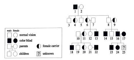 15. A pedigree chart is a visual representation of the frequency and appearance of-example-1