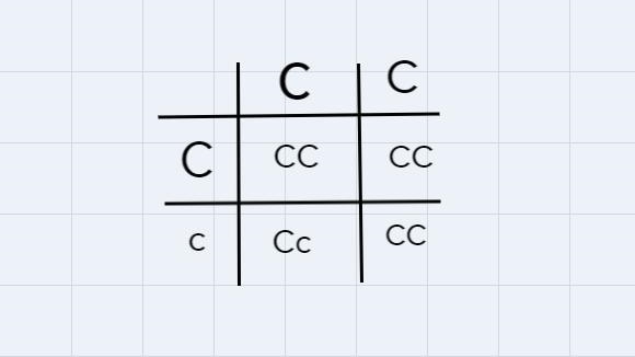If a mother has the genotype CC, and the father has the genotype Cc, is it possible-example-1