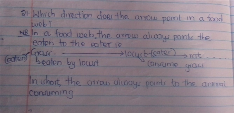 21. Which direction does the arrow point in a food web? O downward O to the animal-example-1