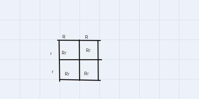 the two parent plants one with white flowers and one with red flowers P generation-example-1