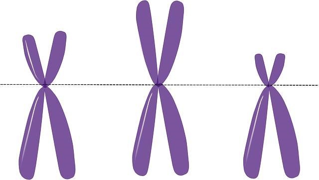 You are observing a sample of cells in the lab to determine why they did notdivide-example-1