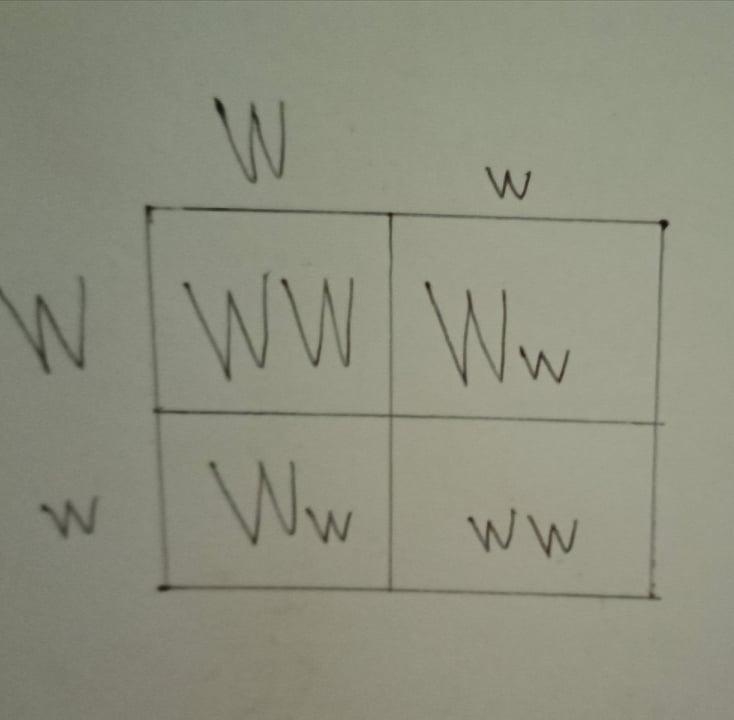 This Punnett square shows a cross between two organisms that are heterozygous for-example-1