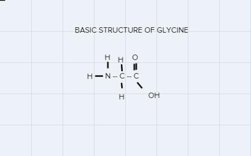 Draw the dipeptide that results when a peptide bond is formed between two glycine-example-2