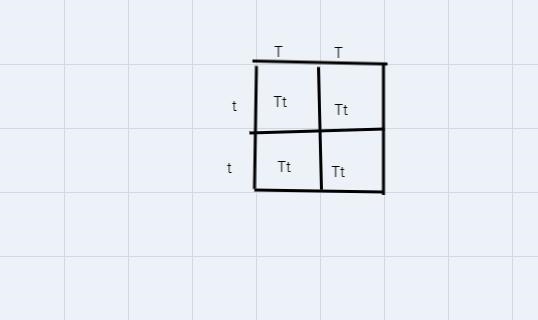 In the first generation, a homozygous/dominant , tall plant is crossed with a homozygous-example-1