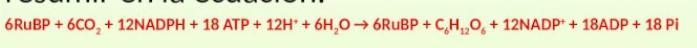 In Calvin cycle, 1 molecule of glucose is formed from :1 6CO2 + 18ATP + 3ONADPH2 6CO-example-1