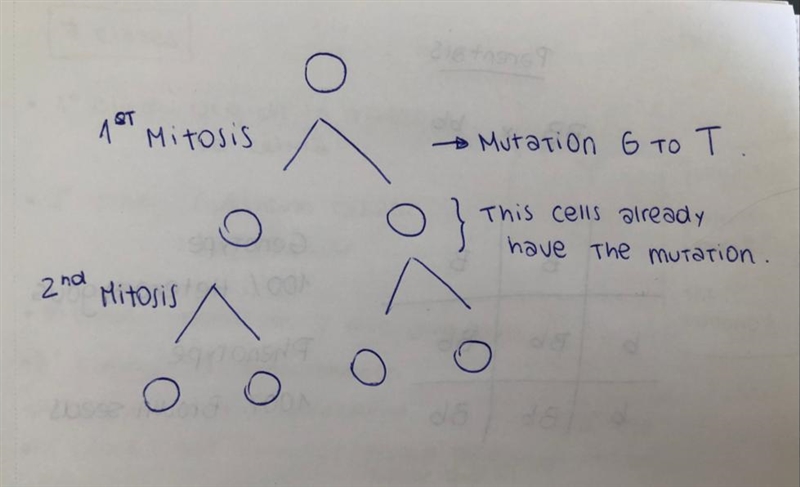 In a cell replicating the DNA fragment of Figure 7, the non-coding strand (II) is-example-1