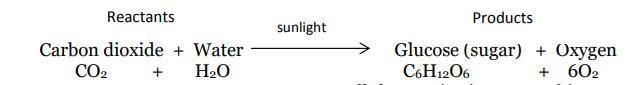 According to the Law of Conservation of Mass, there need to be the samenumber of atoms-example-1