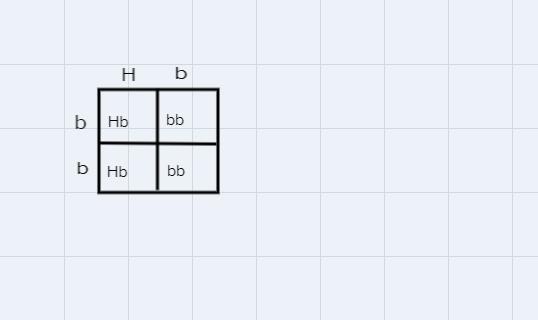 A heterozygous male is mated with a homozygous recessive female. What are the possible-example-1