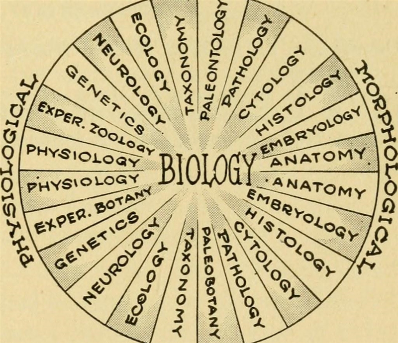 What is biology? with example-example-1