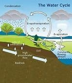 Describe the concept of water cycle.​-example-1